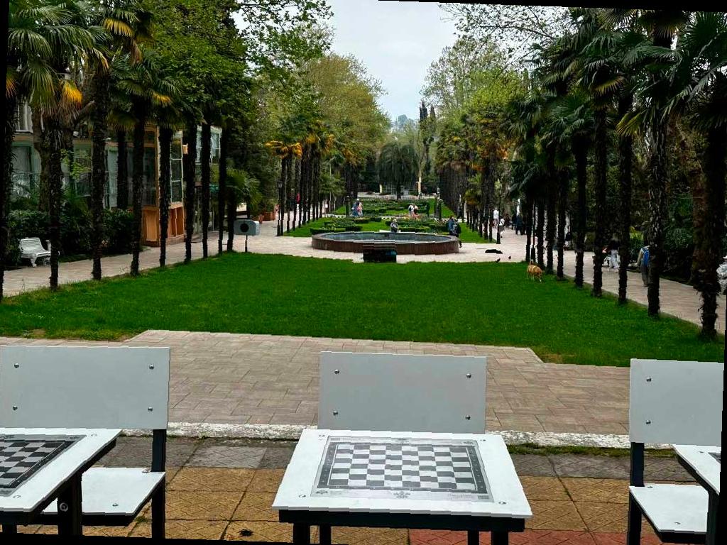 Шахматная гостиная переехала на Аллею писателей в парке «Ривьера»