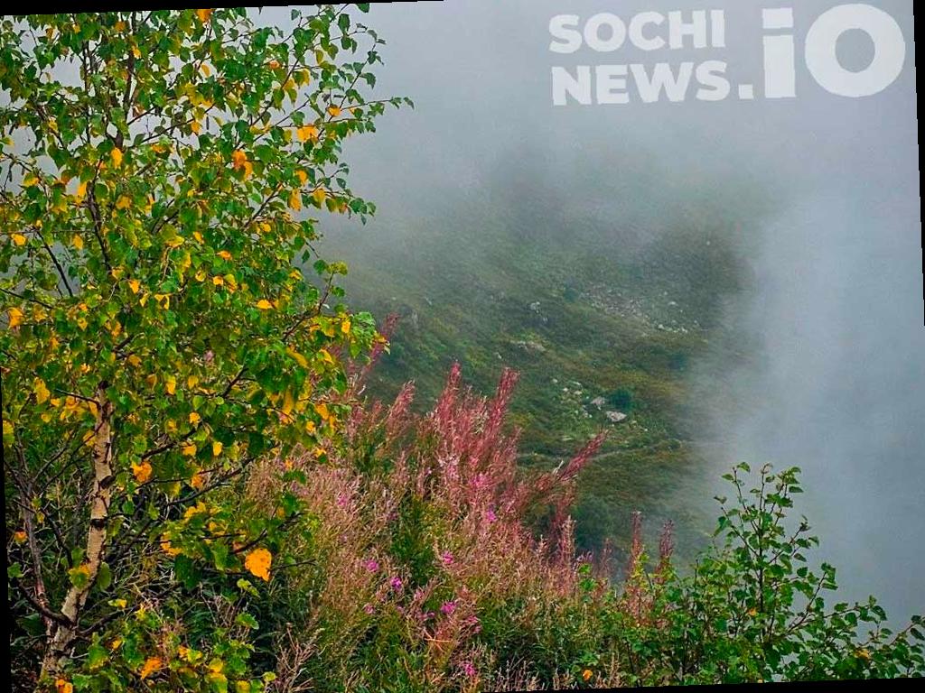 Туман, дожди и гроза: Полоса непогоды в Сочи продолжается