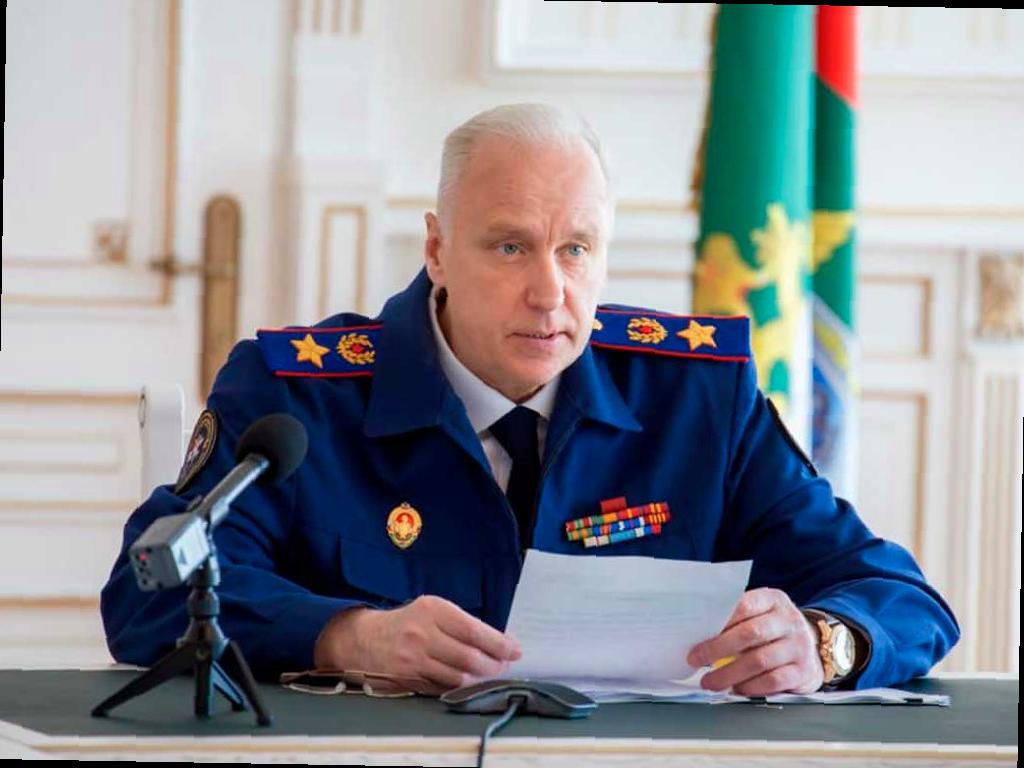 Бастрыкин проверит информацию о нападении собаки на ребёнка в ЖК «Моравия» в Сочи