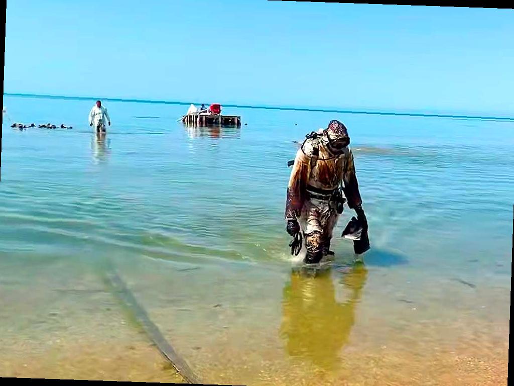 На ликвидацию последствий ЧС в Керченском проливе выделено дополнительные 1,4 млрд рублей