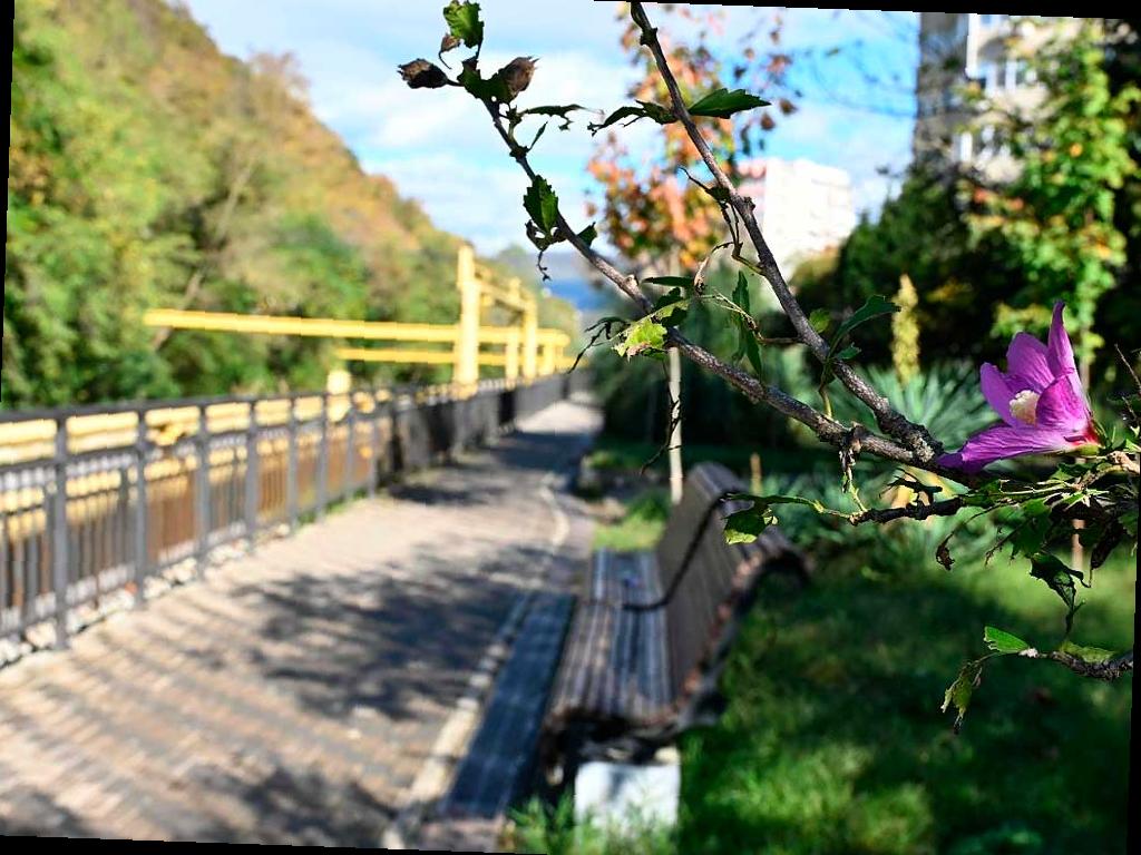 В Лазаревском районе Сочи откроется новая зона для прогулок