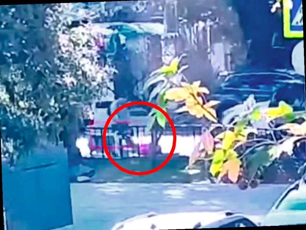 Житель Сочи потерял чемодан с деньгами, нашедшему грозит срок