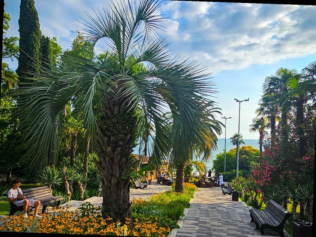 Сочи готовится к новому рекорду по туристическому потоку в 2025 году