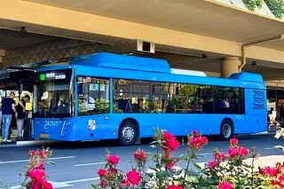 Автобус № 105А в Сочи начнёт работать круглосуточно с 1 июня