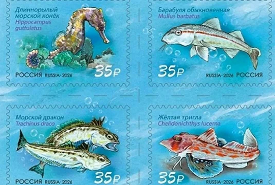 Почта России представила серию марок с обитателями Черного моря