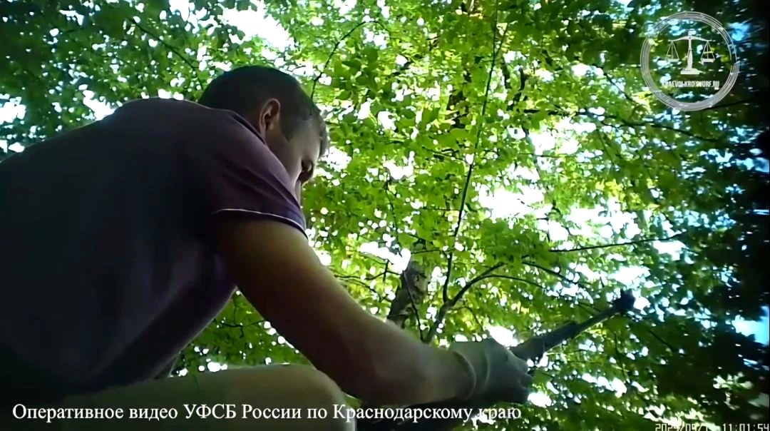 Приговор за незаконное хранение и сбыт огнестрельного оружия в Сочи