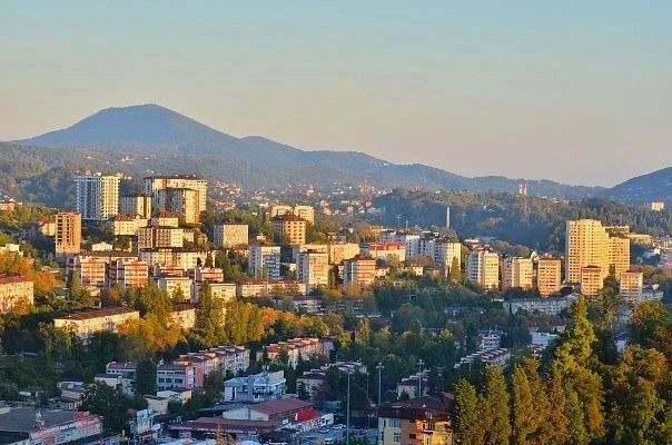 Контроль за торговлей и парковкой в Сочи приносит доход в бюджет