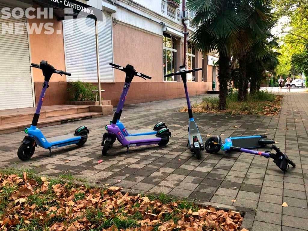 Запрет на самокаты в Сочи зависит от мнения местных жителей
